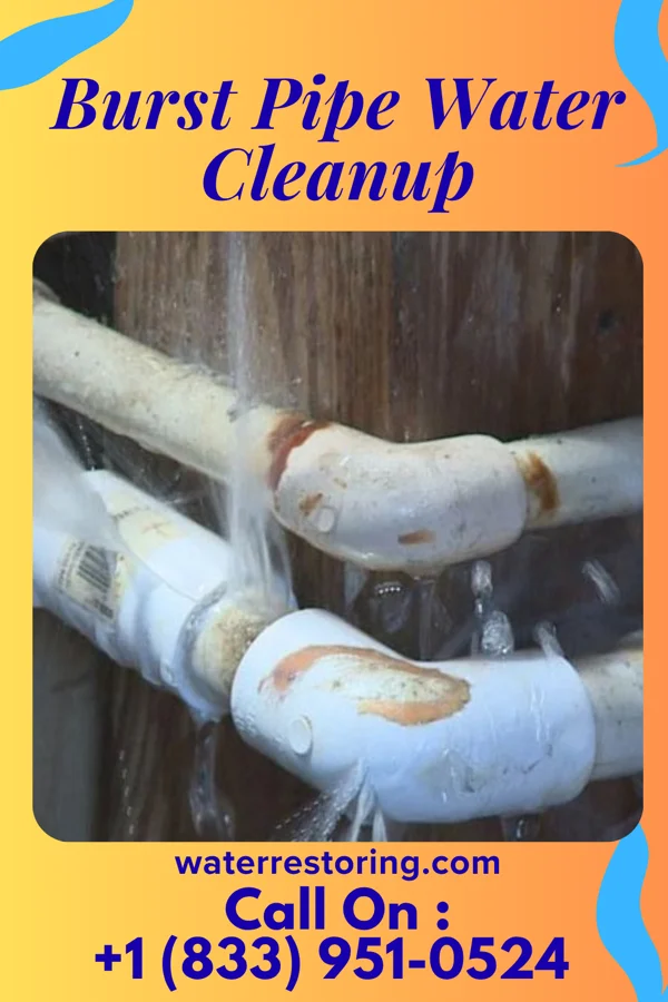 Burst Pipe Water Cleanup in Fairwater, WI