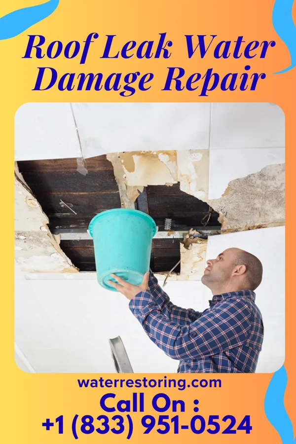 Roof Leak Water Damage Repair in Fairwater, WI